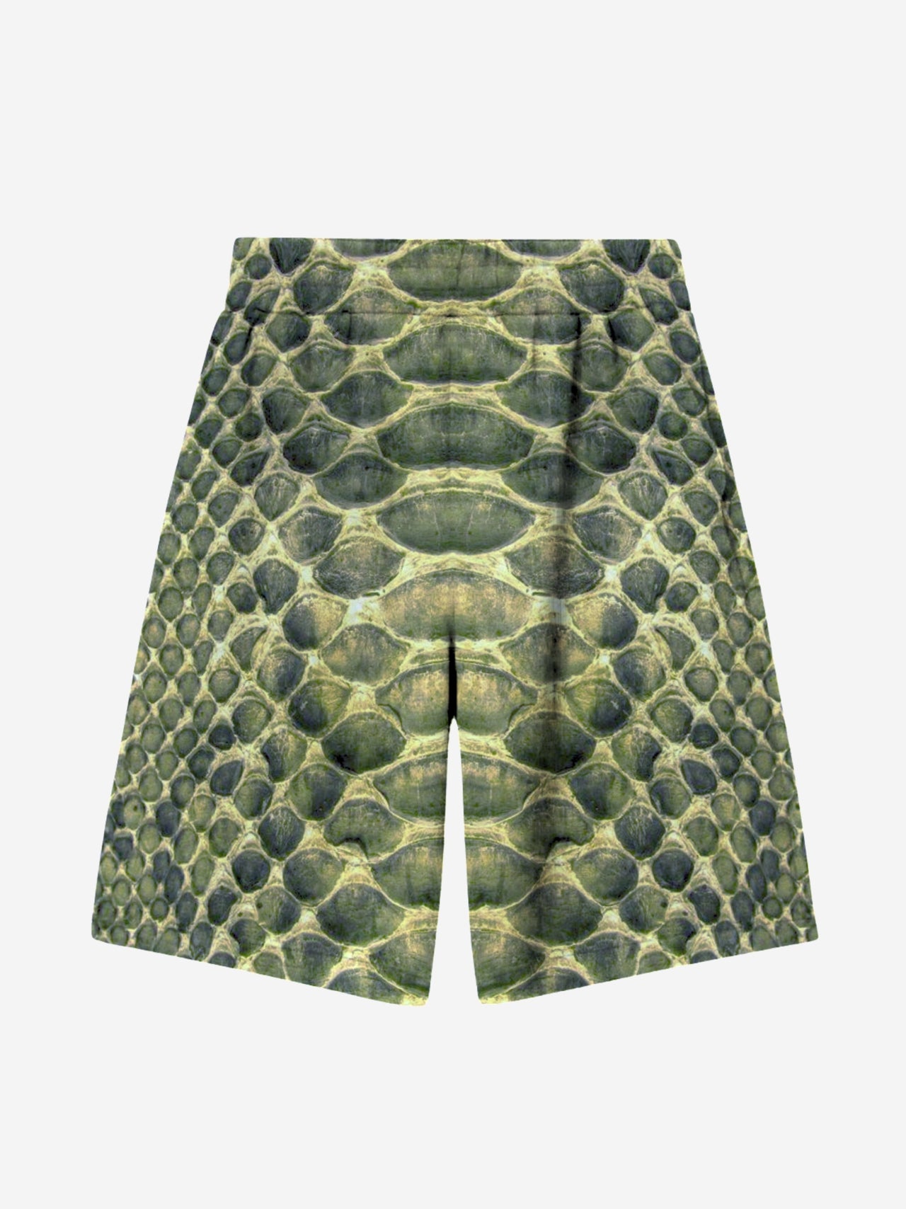 VIPERA BAGGY SHORTS GREEN